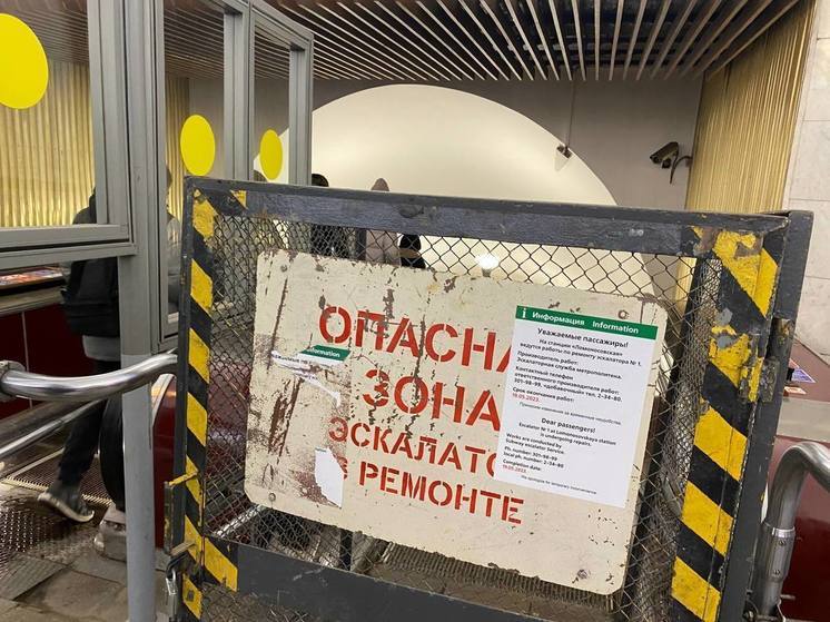 В ЗакСе Петербурга предложили увеличить штрафы за остановку эскалатора в метро