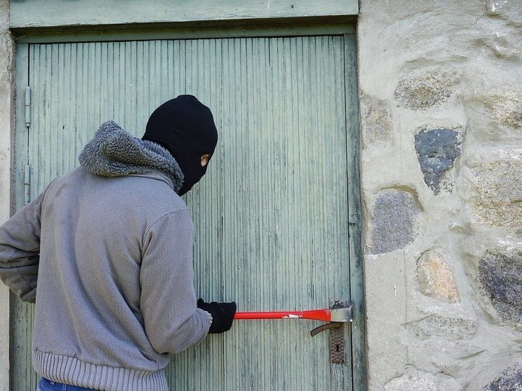 Полиция раскрыла кражу из садового домика в Йошкар-Оле