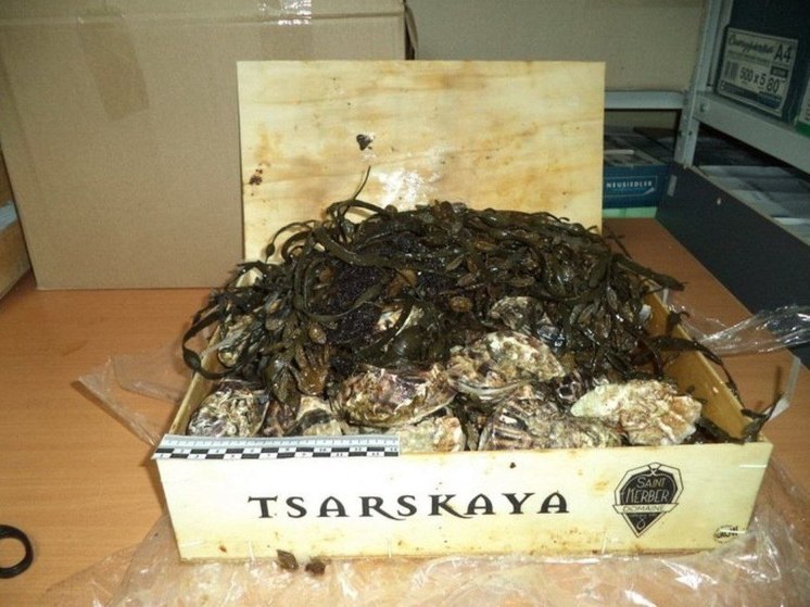  Смоленские таможенники обнаружили 700 кг морских деликатесов в фуре с мебелью