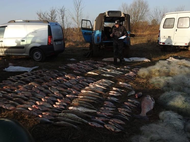 Банду браконьеров задержали на Оке в подмосковном Серпухове