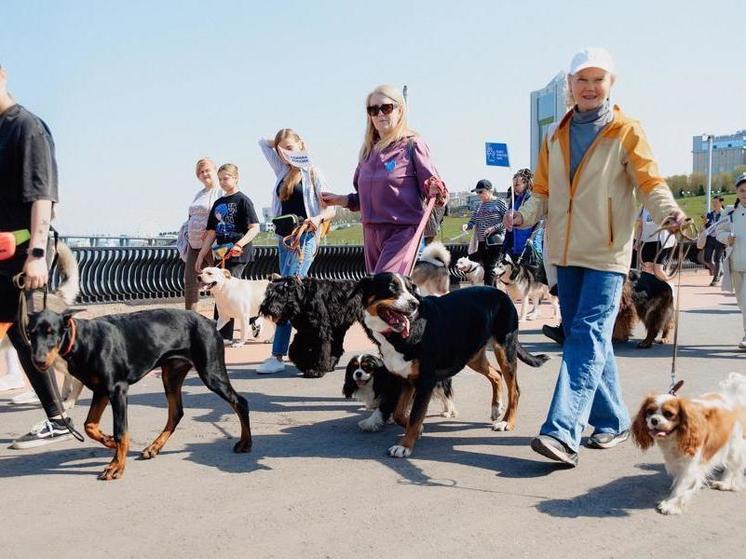 28 апреля в Чебоксарах состоится парад собак