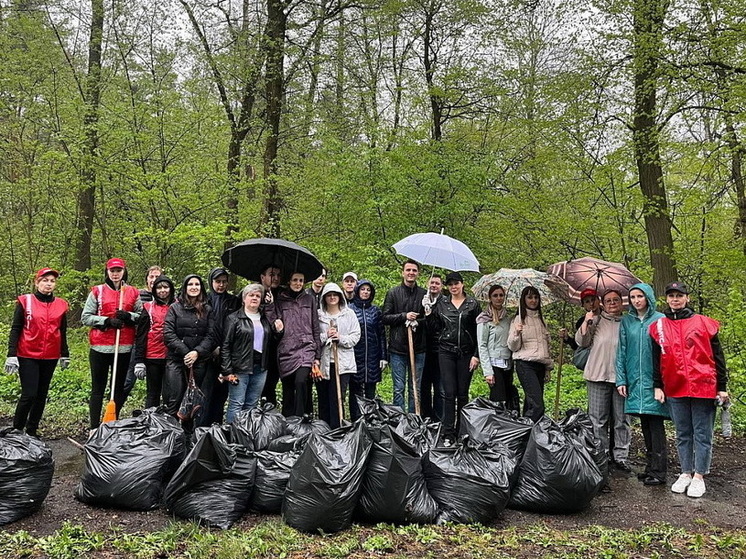В Курске провели уборку на мемориале в парке «Солянка»