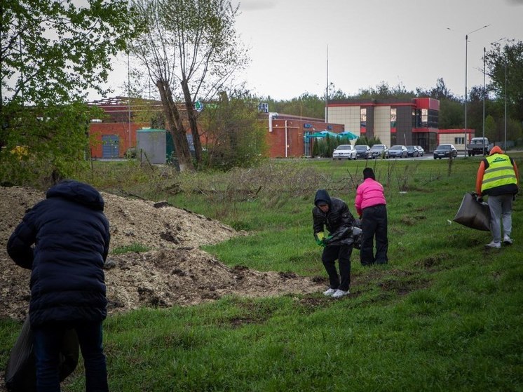 Курск в рамках санитарной пятницы убрали от 178 кубометров мусора и веток
