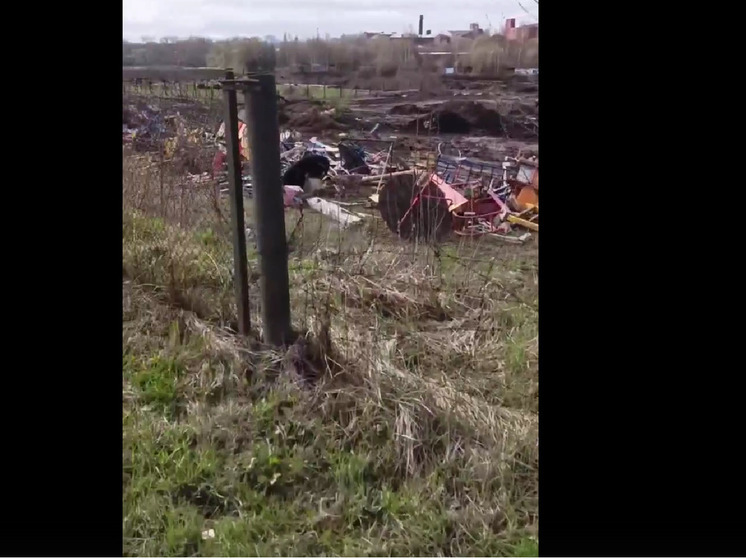 Жители Ярославля нашли «кладбище» детских городков