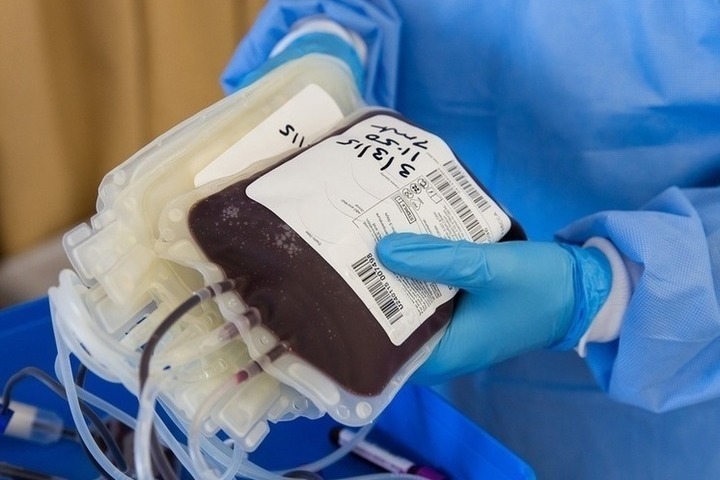 «Спасти чью-то жизнь»: сотрудники белгородского Центра крови рассказали, как решили стать донорами