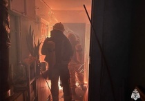 В Мурманске, на проспекте Кольском, в квартире дома №150 произошел пожар 19 апреля