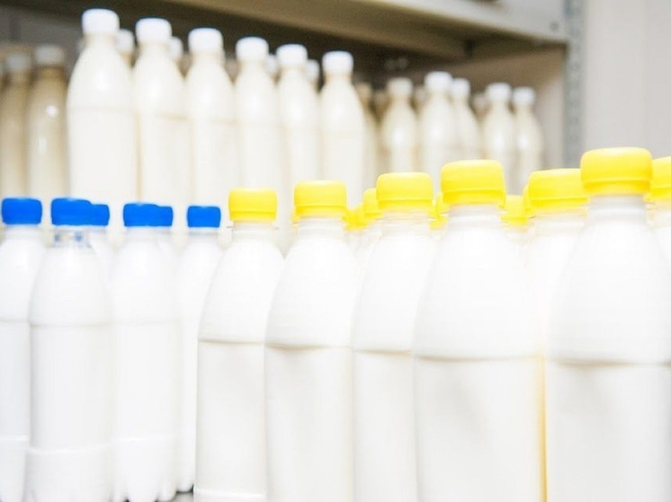 Предприятие в Волгограде из 12 тонн молока произвело 170 тонн сыворотки