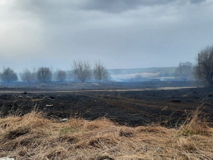 На границе Чувашии и Нижегородской области загорелась сухая трава