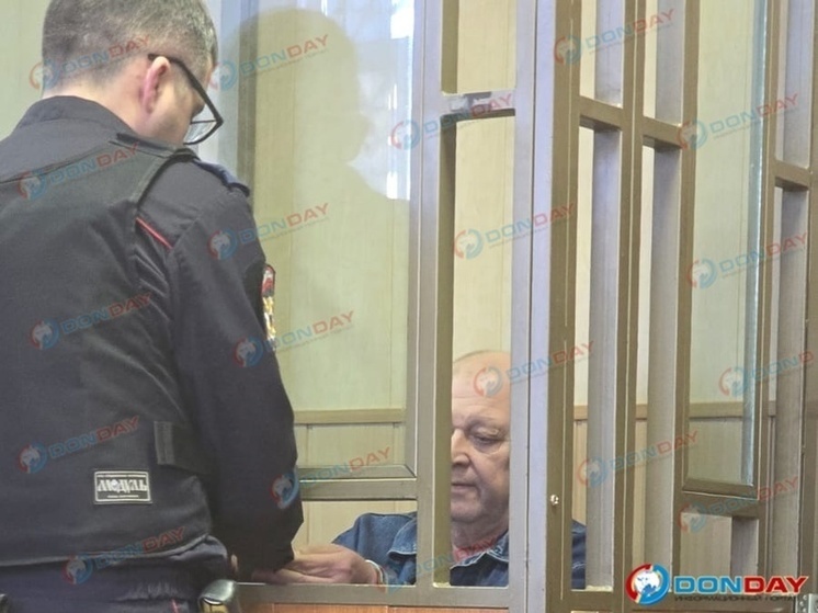 Экс-министра природных ресурсов Ростовской области заключили под стражу