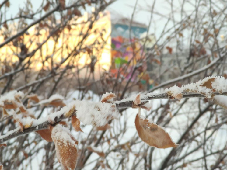 В субботу на территории Чукотки синоптики прогнозируют небольшой снег