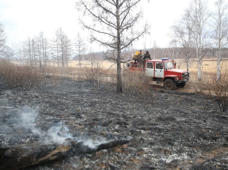 Особый противопожарный режим ввели в северных районах Забайкалья