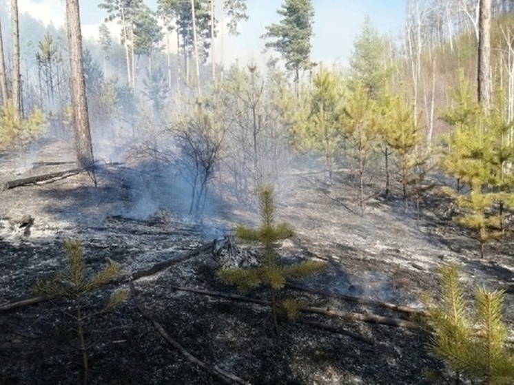 Уголовное дело о лесном пожаре на 1,5 тысячи га возбудили в Забайкалье
