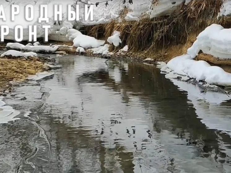 Министерство лесного хозяйства и природопользования Ярославской области опубликовало результаты проб воды из ручья, который протекает в Дудкино, рядом с поселком Резинотехника в Заволжском районе