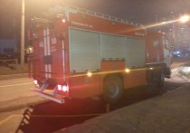 Крупный пожар разгорелся минувшей ночью в Приморском районе Петербурга. Об этом сообщили в пресс-службе МЧС по городу и области.