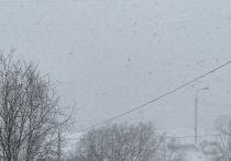 В Кольском Заполярье снова ухудшилась погода 20 апреля: весь день ожидается сильный ветер, снег, гололед и плохая видимость