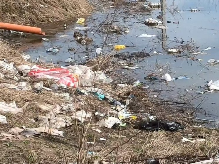 Рязанцы пожаловались на скопление мусора на берегу Оки