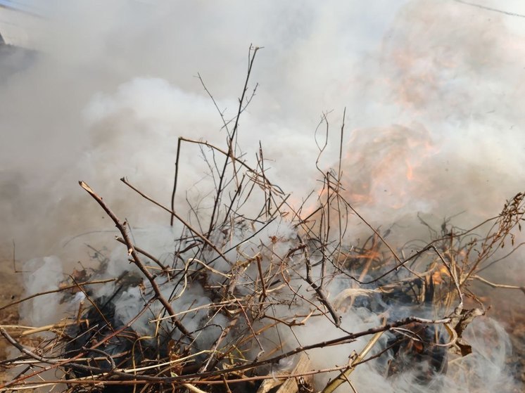 В Бурятии МЧС предупредили граждан о запретах в условиях противопожарного режима