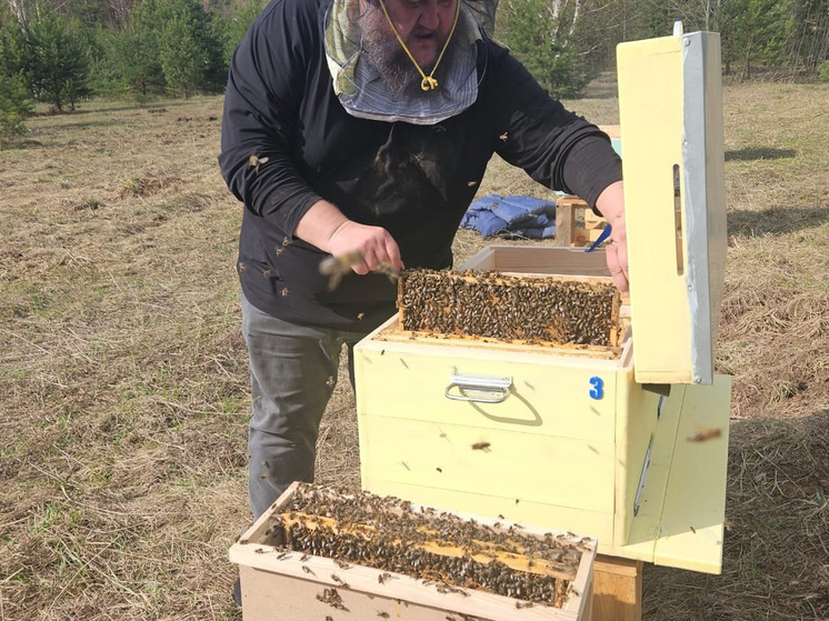 Крестьянско-фермерское хозяйство в Юрьевецком районе осваивает пчеловодство