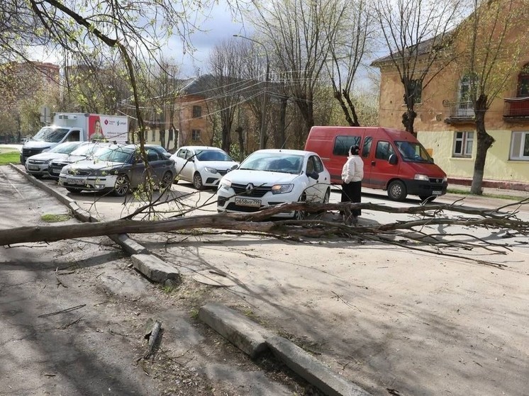 В результате разгула стихии в Подмосковье рухнуло около 200 деревьев