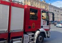 Ночной пожар охватил частный дом престарых на Александровском шоссе в Белоострове. Горение произошло на площади 153 квадратных метра, вероятно, из-за короткого замыкания, сообщил 78.ru.
