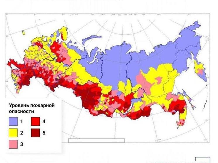 В Запорожской области прогнозируют 4 уровень пожарной опасности