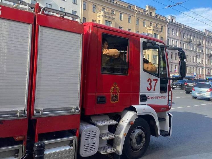Пожар вынудил постояльцев и сотрудников дома престарелых в Белоострове эвакуироваться