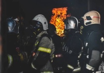 В Мурманске 25 апреля откроется выставка «Работа-огонь»