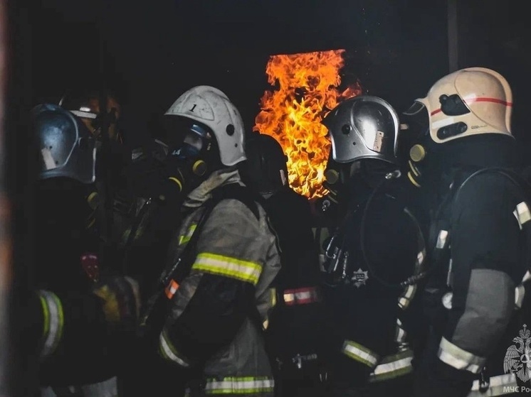 Мурманским пожарным посвятят выставку «Работа – огонь»
