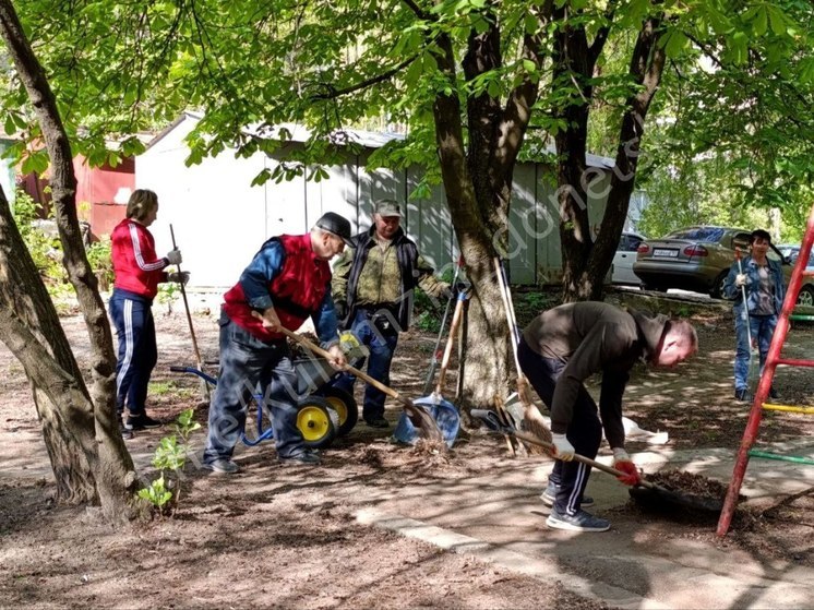 Более 9,7 тысяч человек вышли на субботник в Донецке