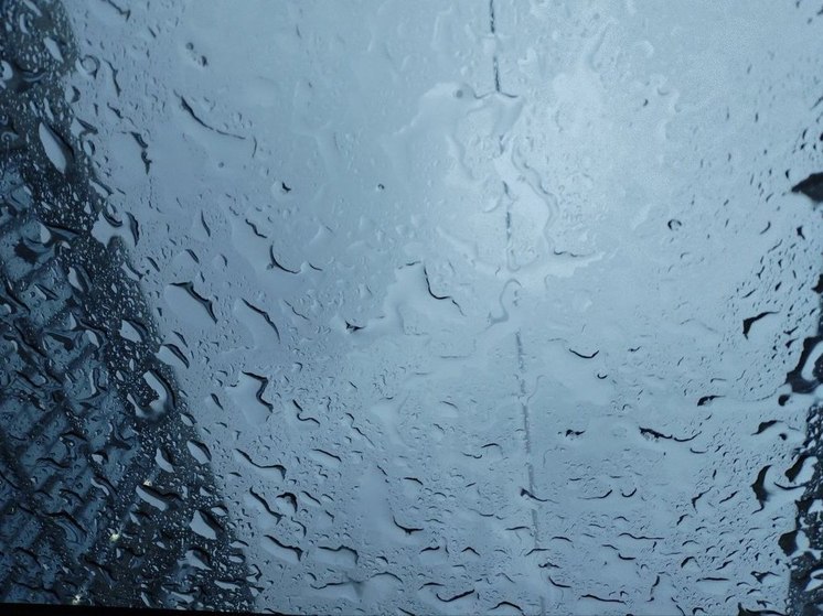 Дождь и до +14 градусов ожидается в Ленобласти 21 апреля