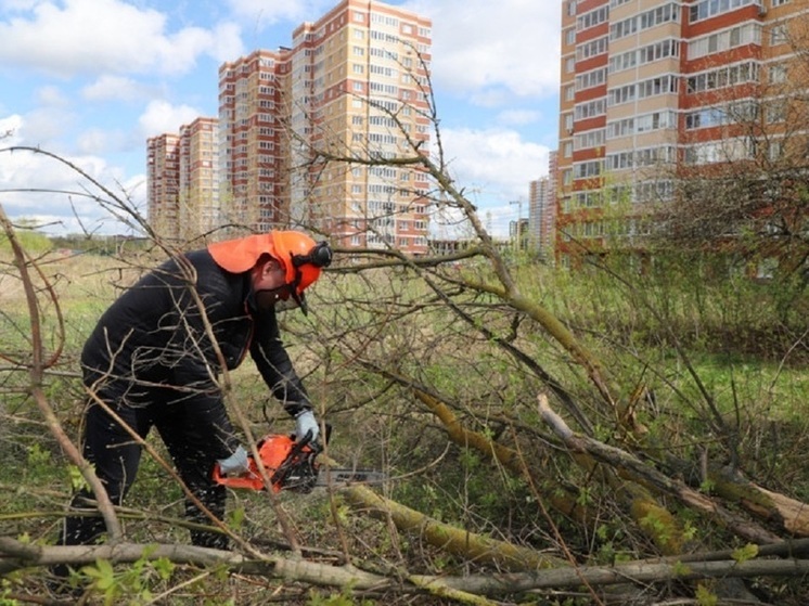 Беспалов: На субботниках каждый вносит свой вклад в общее дело