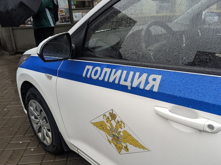 Полиция Петербурга нашла у любителя езды в алкогольном опьянении партию наркотиков