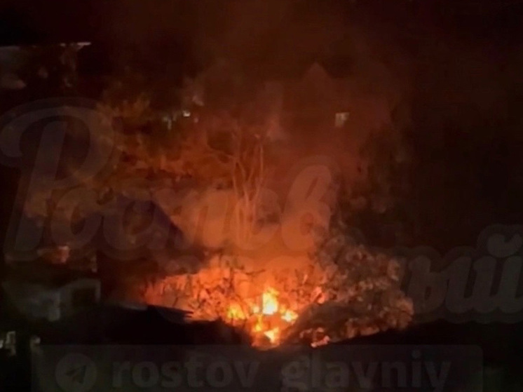 В Ростове на Извилистой произошел пожар в садовом домике