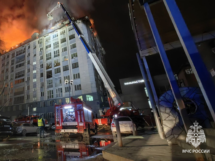 В центре Новосибирска загорелась крыша многоквартирного жилого дома