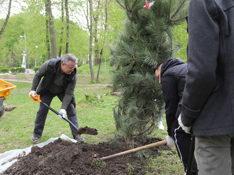 Мэр Воронежа ловко орудовал лопатой в Центральном парке