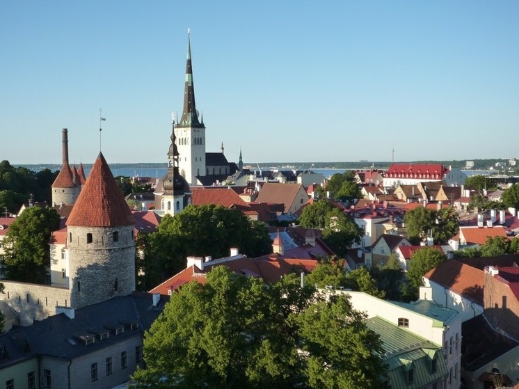 Без штанов, но в шляпе: Эстония переживает мощный экономический кризис