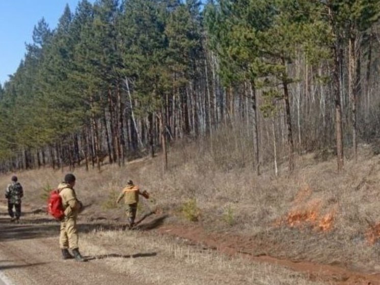  Два лесных пожара ликвидированы в Иркутской области
