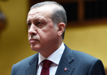 Израильский министр иностранных дел: «Эрдоган, как тебе не стыдно!»
