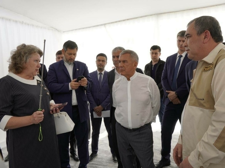Раису Татарстана в Узбекистане представили генплан развития местного промпарка