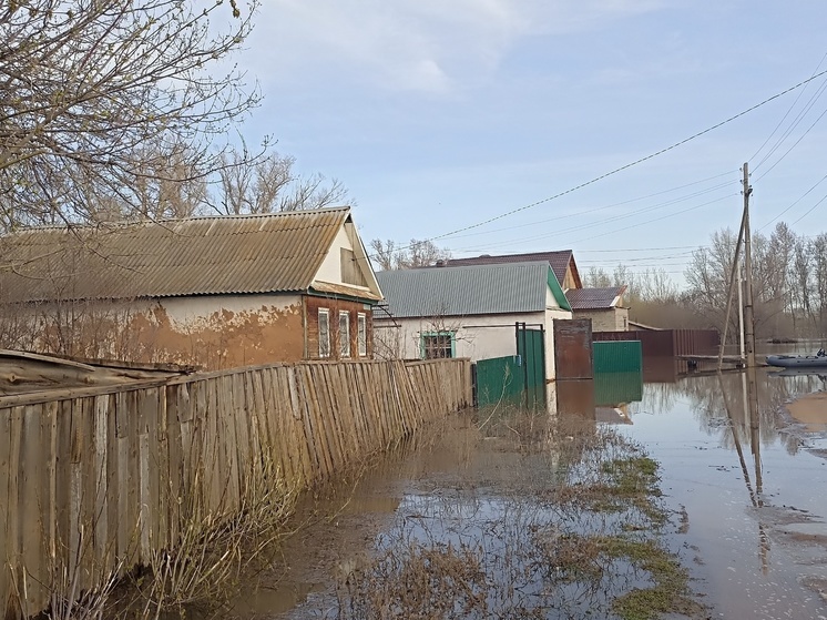 В Оренбургской области за сутки от воды освободились больше тысячи домов и участков