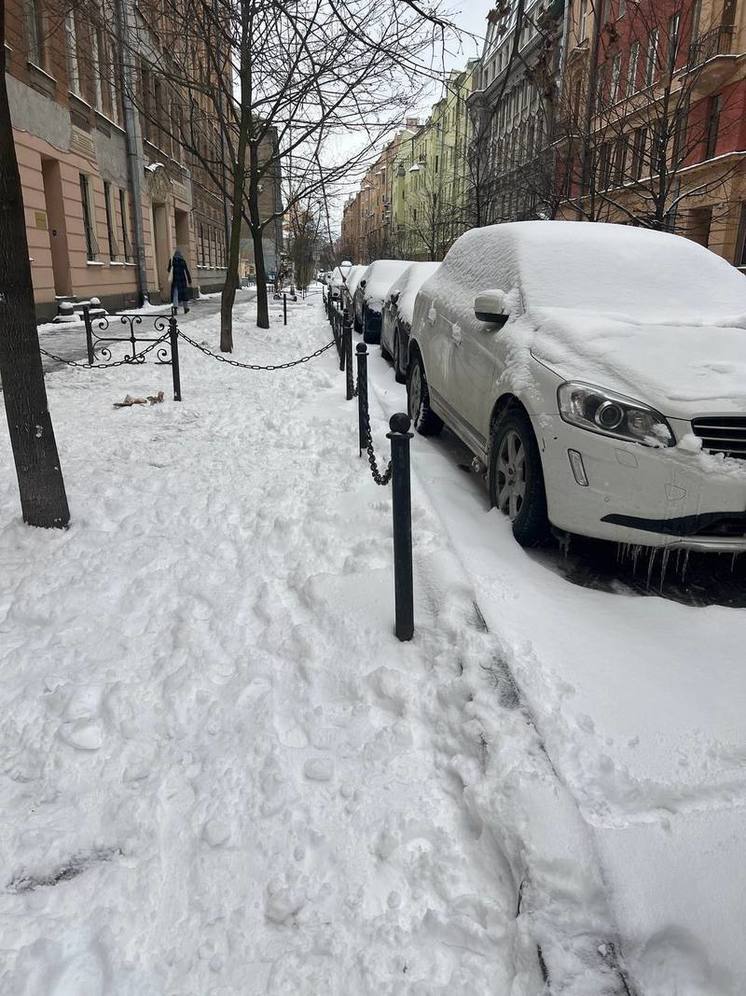 Министра Костина удивил выпавший в Санкт-Петербурге снег