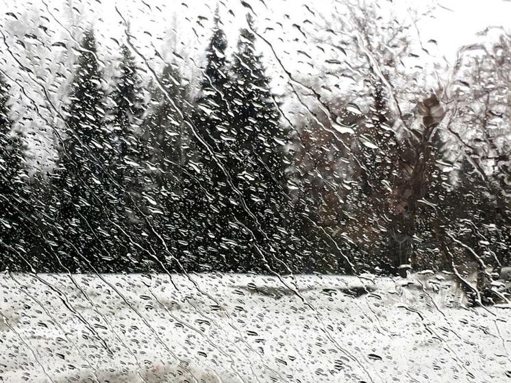 Дождь и мокрый снег ожидаются в Приангарье 22 апреля