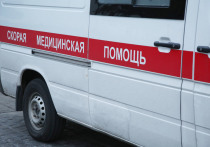 В Тюмени малолетний ребенок попал под колеса автомобиля, пытаясь убежать от бродячей собаки