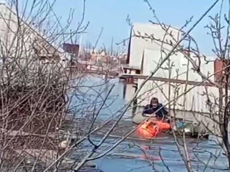 Курганец, пытавшийся спасти свою кошку, наткнулся на кусты и порвал лодку