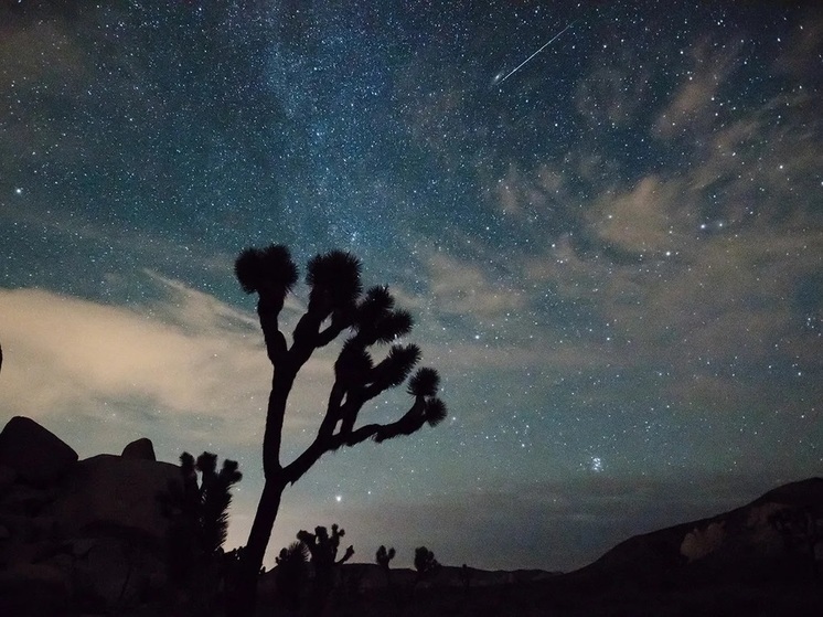 Любителей астрономии ждет незабываемое зрелище: поток метеоров со шлейфом