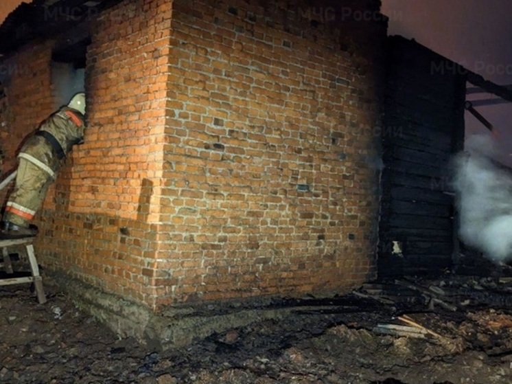 Девять детей спаслись из сгоревшего частного дома в Горноуральском ГО