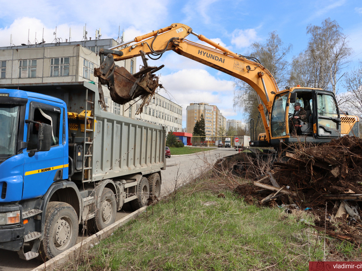 Во Владимире со стихийной свалки вывезли 150 "кубов" мусора
