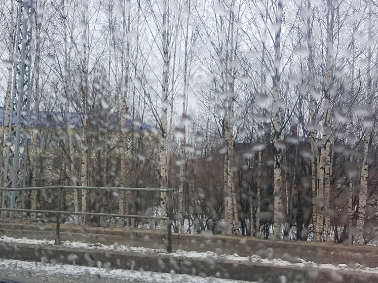 Дождь придет в Карелию 22 апреля на смену снегопаду
