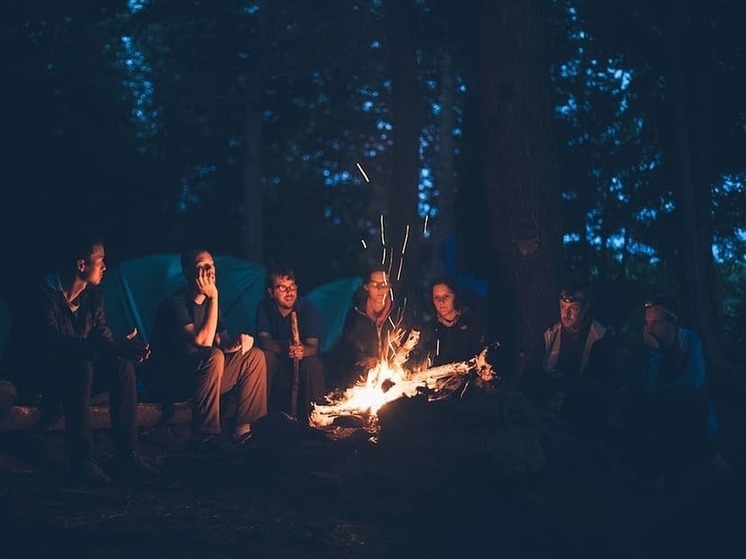 Порядка тридцати специализированных мест для отдыха планируют организовать в лесах ДНР