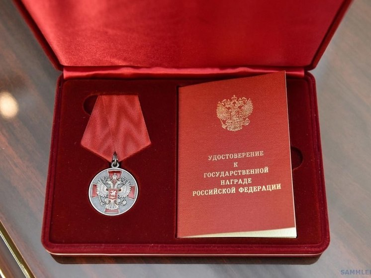 Муниципальные служащие Запорожской области получили государственные награды